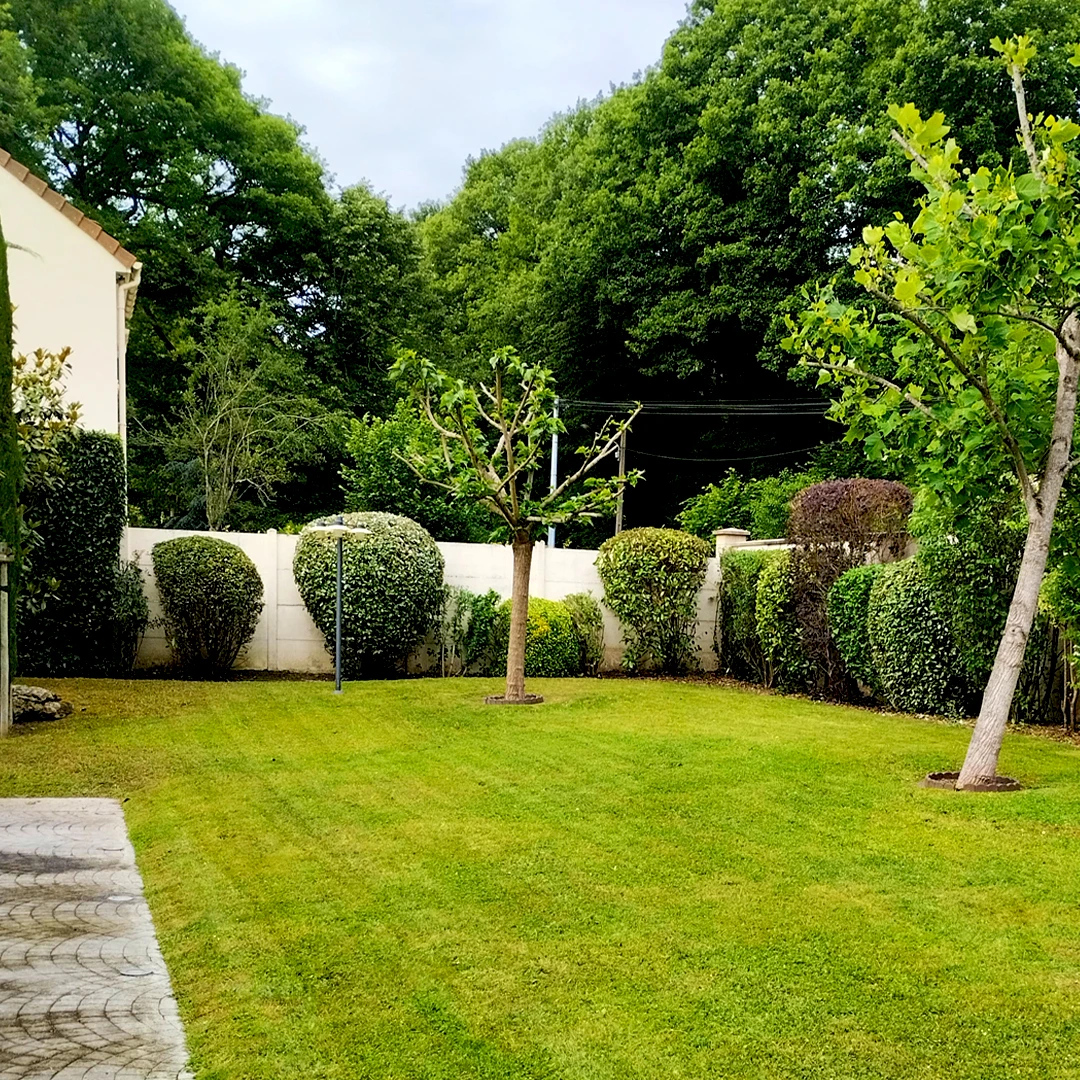 Réalisation Midey Paysage - Jardin, fleurs, arbres, bordures & pavés