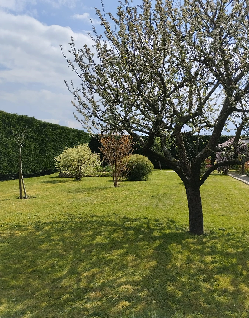 Réalisation Midey Paysage - Jardin, fleurs, arbres, bordures & pavés